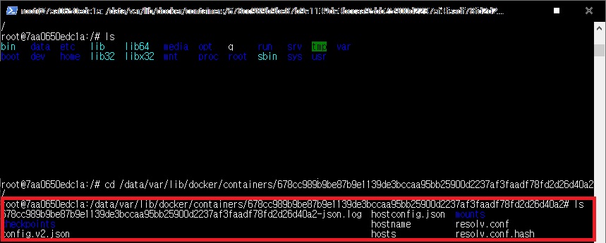 docker mount container